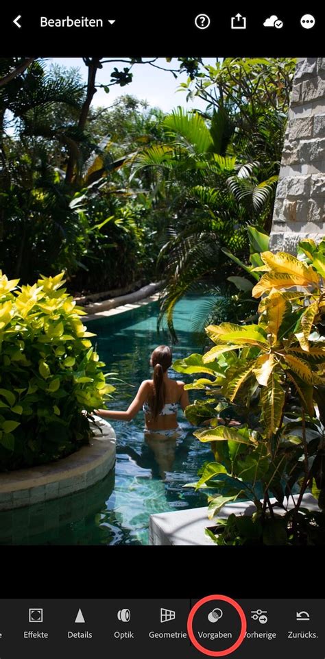 Toradh íomhá ar Install Lightroom Presets