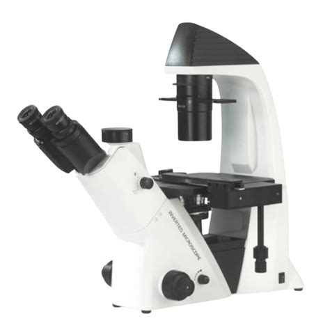 Résultat d’images pour Inverted Microscope Magnifications