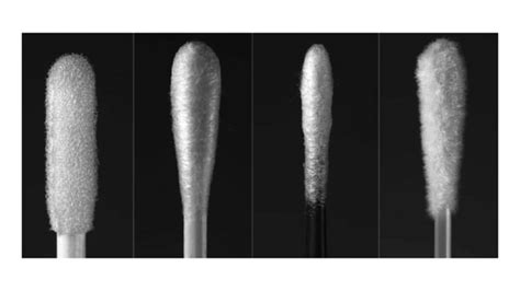 Toradh íomhá ar Sample Collection and Processing