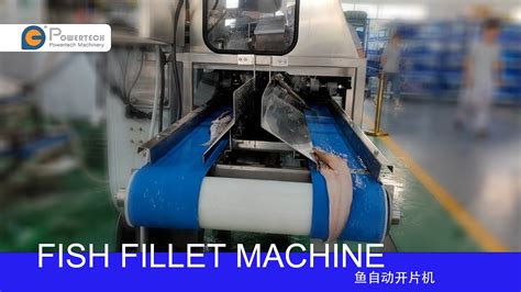 Image result for Automatic Fish Processor