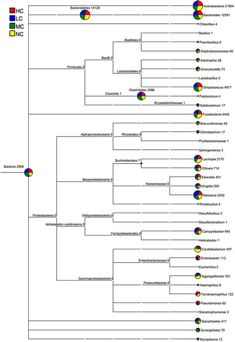 Image result for Bacteria Classification Chart