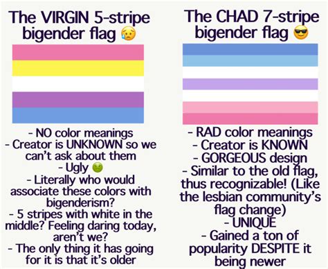 Afbeeldingsresultaten voor What Is the Correct Bigender Flag