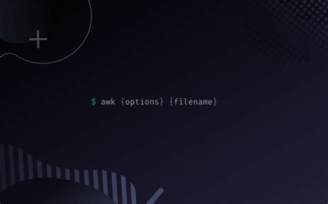 Examples of the Awk Command に対する画像結果