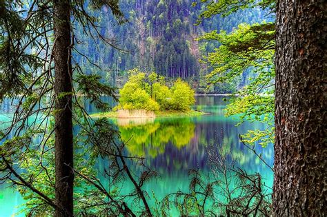 Toradh íomhá ar Germany Nature-Lovers