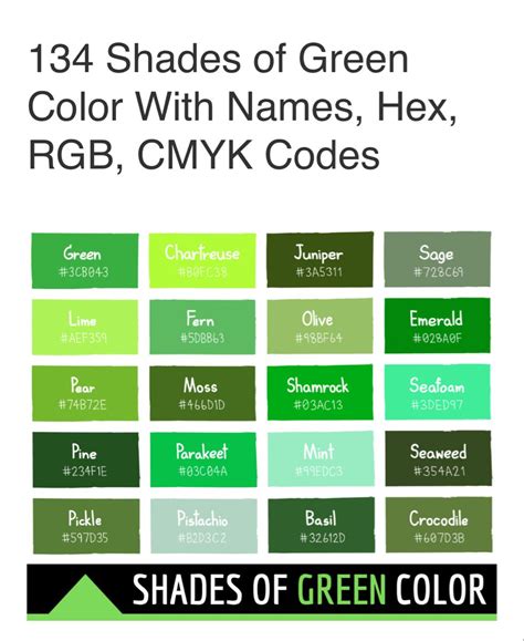 Image result for Green Color Swaches with Code