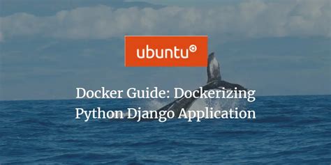 Image result for docker django