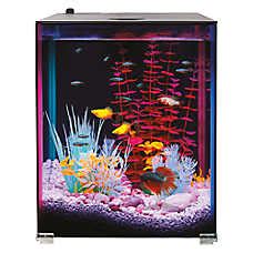 PetSmart 125 Gallon Aquarium に対する画像結果