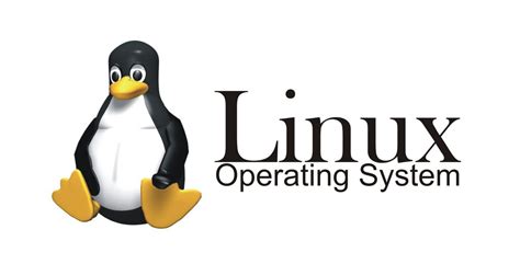 Image result for What Is Linux Operating System Linux Installer How to Download Linux