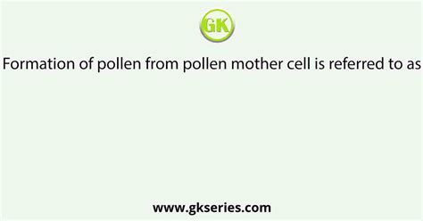 Toradh íomhá ar Mother Cell