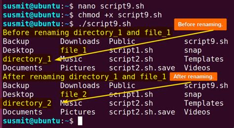 Image result for Bash File Example