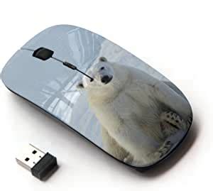 Image result for Bears Wireless Computer Mouse