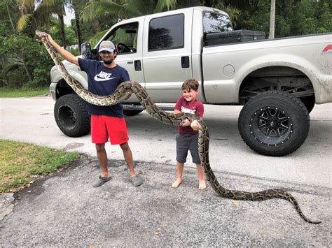 Image result for Florida Python Hunt