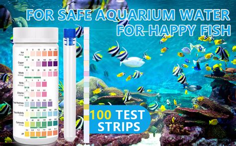 Fish Tank Strip Test ପାଇଁ ପ୍ରତିଛବି ଫଳାଫଳ