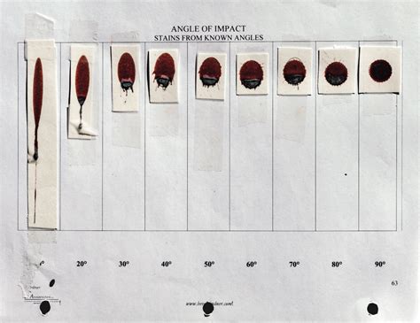 Image result for Show for Forensic Blood Spatter