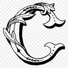 Image result for Calligraphy C Math