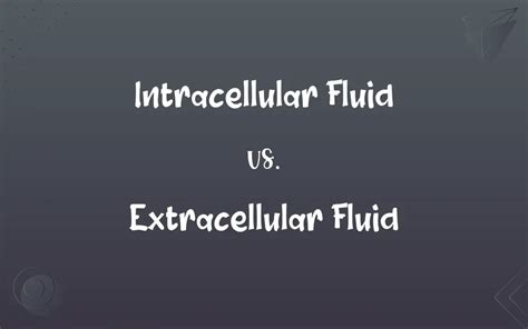 Image result for Intracellular and Extracellular Cell