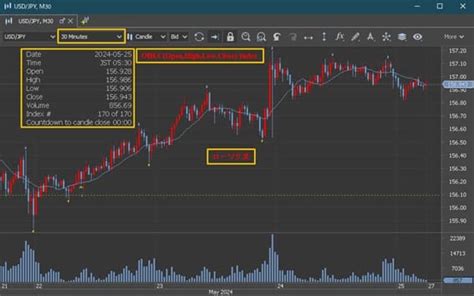 Jenis Chart Pattern に対する画像結果