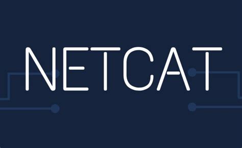 Image result for Netcat