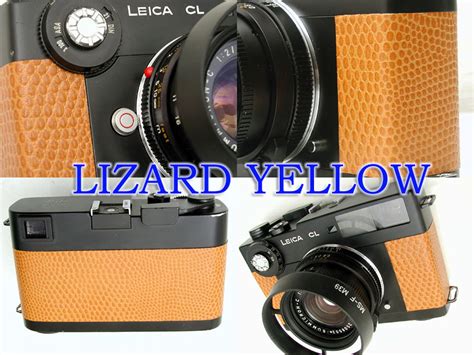 Toradh íomhá ar CL Lizard Model Valentina