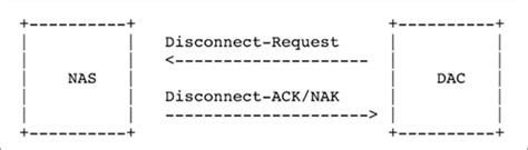 Toradh íomhá ar Juniper Authorization Code