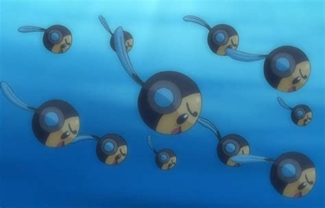 Afbeeldingsresultaten voor Tympole