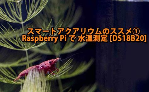 Raspberry Pi Zero2 WH എന്നതിനുള്ള ഇമേജ് ഫലം