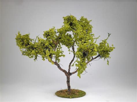 Image result for Modeling Trees