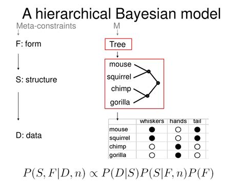 Image result for Hierarchical Bayesian Inference