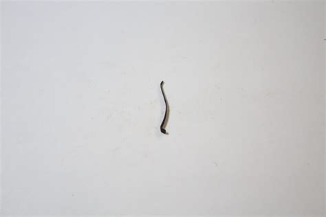 Colt Python Hand Spring に対する画像結果