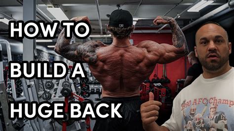 Image result for Broad Back Build