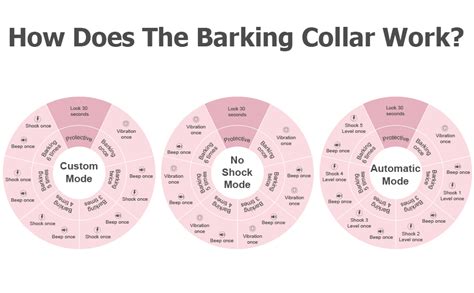 Image result for How to Use a Bark Collar for Dogs