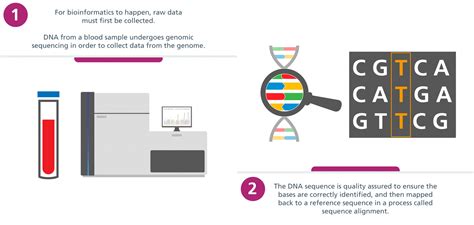 Image result for Bioinformatics Examples
