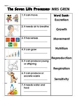 Image result for Movement Life Process Worksheet