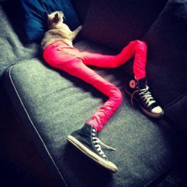 Des Colants に対する画像結果