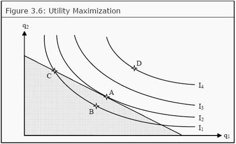 Afbeeldingsresultaten voor Utility Maximization Table