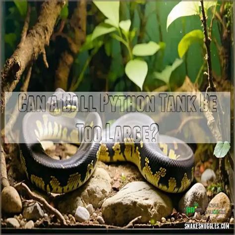 Pet Python Tank に対する画像結果