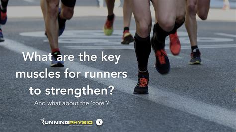 Image result for Long-Running Muscles