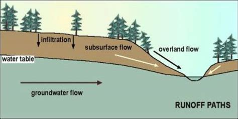 Image result for Subsurface Flow Zone
