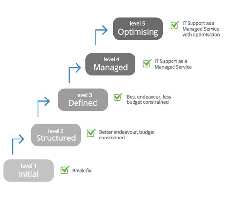 Image result for Service Maturity Model
