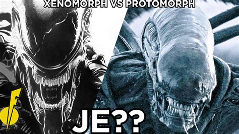 Protomorph vs Xenomorph に対する画像結果