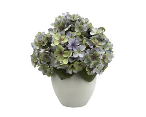 Toradh íomhá ar Briad Hydrangea Broad