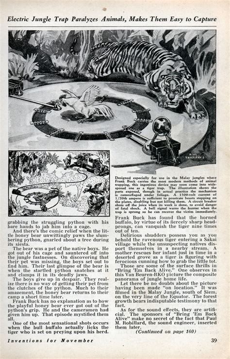 Image result for Hard Tiger vs Python