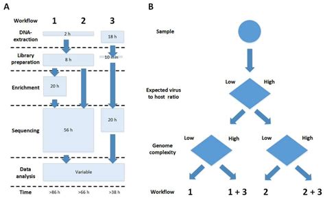 Genome Sequencing Workflow కోసం చిత్ర ఫలితం