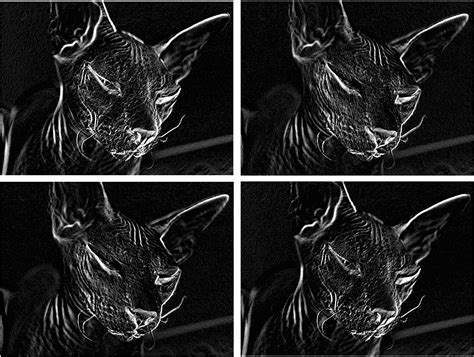 Computer Vision Edge Detection に対する画像結果