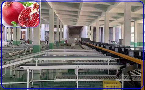 Image result for Sorting Pomegranate Machine