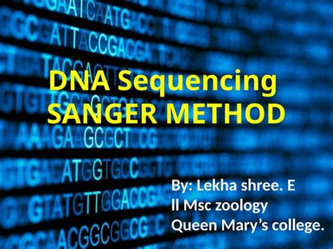 DNA Sequencing Sanger Method に対する画像結果