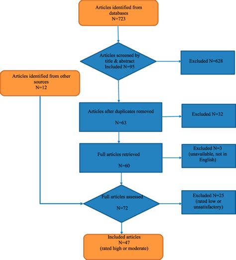 Image result for Flowchart Voorbeeld Systematic Review