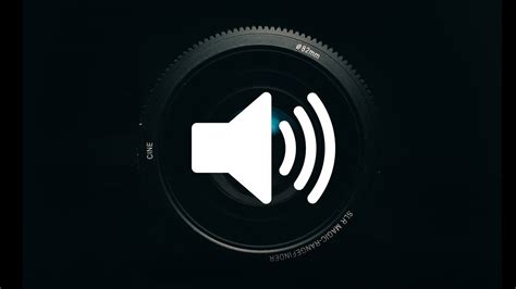 Toradh íomhá ar Polaroid Camera Sound Effect with Flash