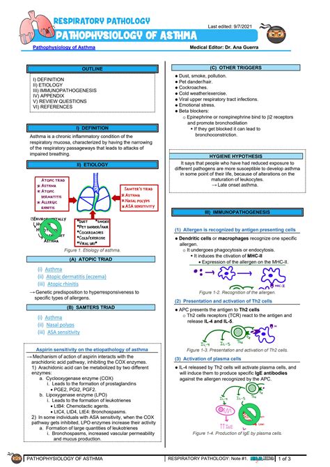 Image result for Asthma Pathophysiology Novartis