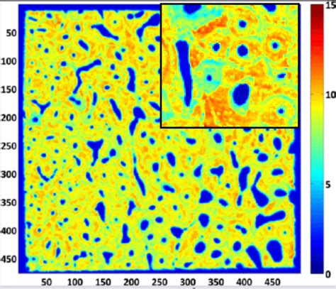Toradh íomhá ar Bio Scanning Acoustic Microscopy Map